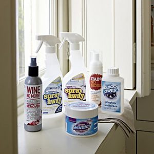 A Basic Kit for Home Cleaning